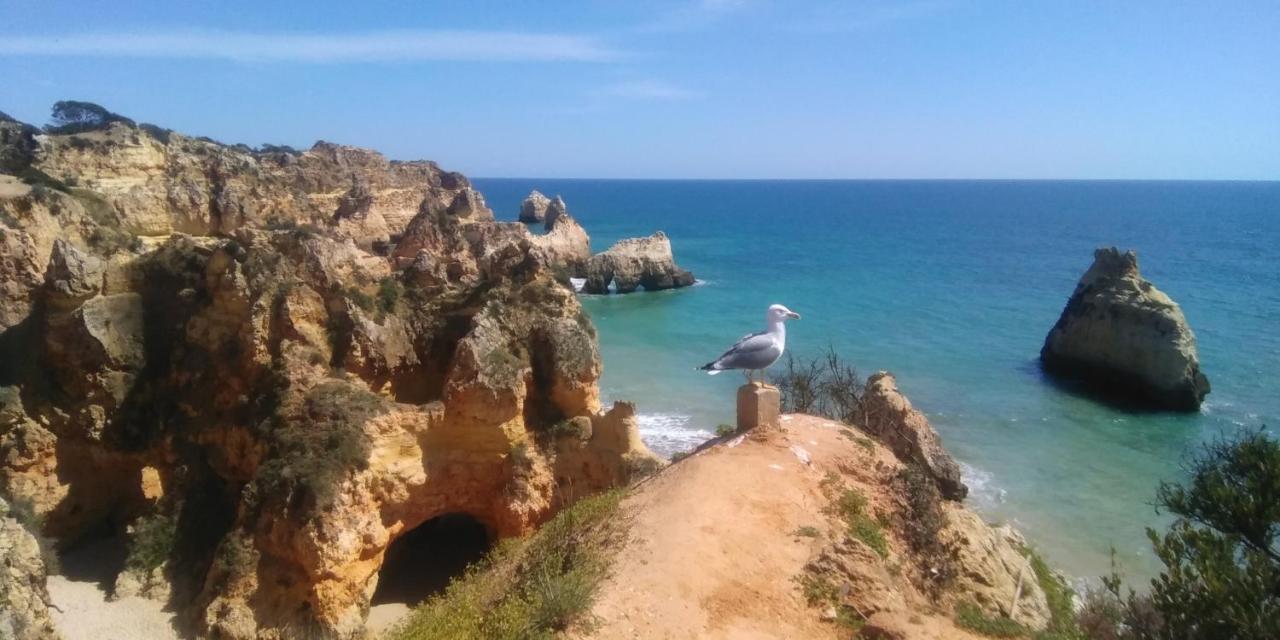 Alburvillage A - Apartamento Novo Em Alvor Buitenkant foto